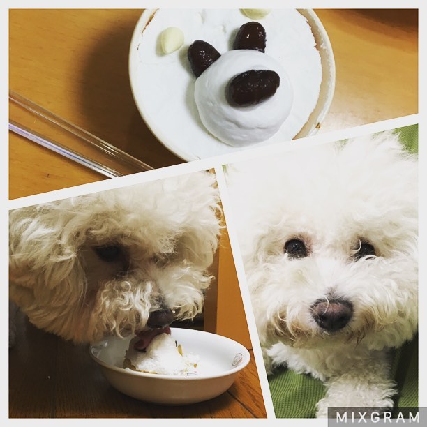 ハッピーバースデーMOCO